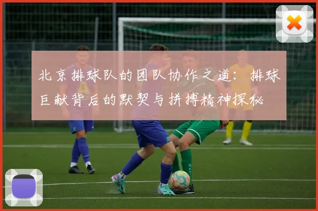 北京排球队的团队协作之道：排球巨献背后的默契与拼搏精神探秘