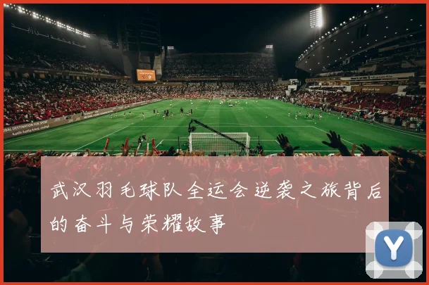 武汉羽毛球队全运会逆袭之旅背后的奋斗与荣耀故事