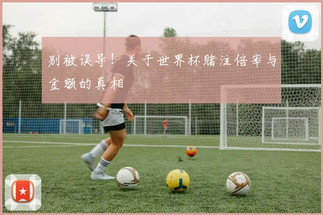 别被误导！关于世界杯赌注倍率与金额的真相
