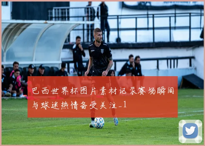 巴西世界杯图片素材记录赛场瞬间与球迷热情备受关注_1