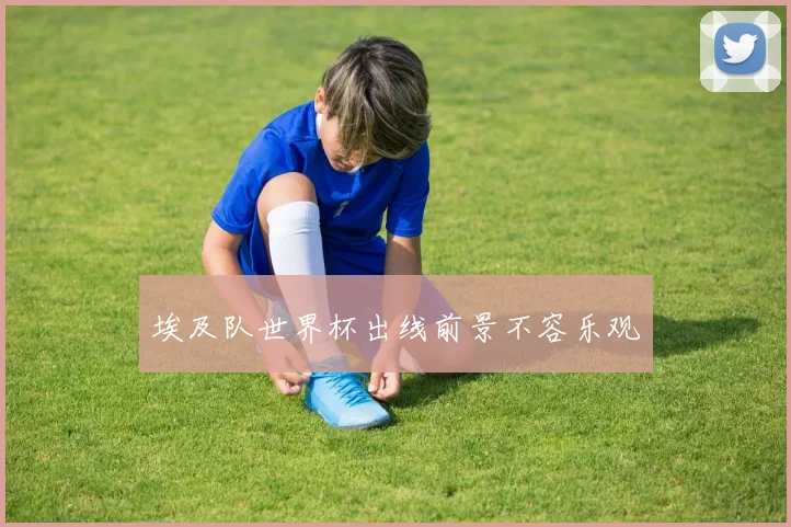 埃及队世界杯出线前景不容乐观